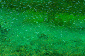 Grüner See Steiermark Wellenbrechung Refraction