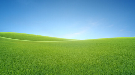 Obraz na płótnie Canvas field on a background of the blue sky