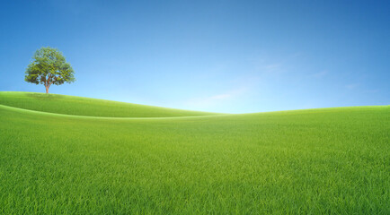 panoramic landscape, lonely tree among green fields, blue sky and white clouds in the background © l3ank