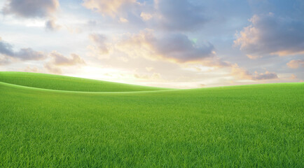 Green grass field and blue sky. Bright sunny summer day. Idyllic landscape.