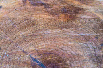 The core of the sawn old wood with a special pattern. Closeup