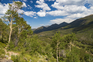 Bierstadt Lake Trail with blue sky and mountains in background in Rocky Mountain National Park, Colorado
