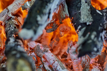 fire ash wood close-up of red and
