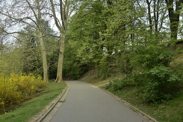Chemin asphalté sous le feuillage des arbres au printemps au parc Josaphat à Schaerbeek 