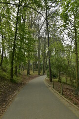Chemin asphalté sous le feuillage des arbres au printemps au parc Josaphat à Schaerbeek 