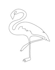 sketch of flamingo, line art, flamingo 