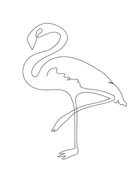 recommend clip art: sketch of flamingo, line art, flamingo 