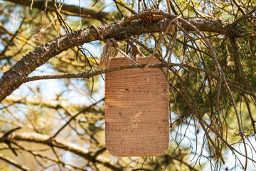 Light wood rustic sign board hanging on a pine tree