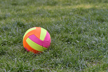 multi-colored ball for the game lies on green fresh grass