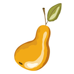 Pear icon isolated on white background. Natural delicious fresh ripe tasty fruit. Template vector illustration for packaging, card and various other design. Stylized pears with leaves. Food concept