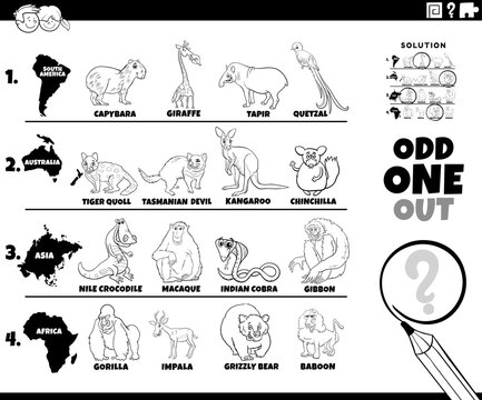 odd one out animal picture game coloring book page