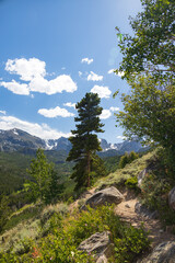 Bierstadt Lake Trail with blue sky and mountains in background in Rocky Mountain National Park, Colorado
