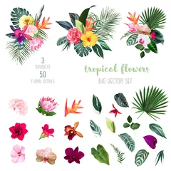 Foto op Aluminium Exotische tropische bloemen, orchidee, strelitzia, hibiscus, protea, anthurium, palm, monstera © lavendertime