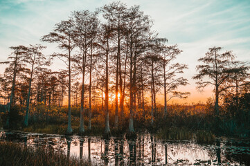 sunset in the Louisiana bayou swamp