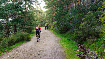 Obraz premium Path in the forest for sports, people cycling and hiking. Guadarrama Madrid.