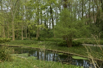 L'un des étangs entouré de végétation sous l'ombre d'un nuage au parc Josaphat à Schaerbeek 