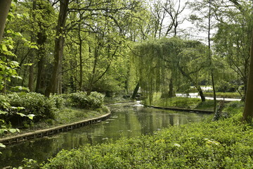 Bras d'étang sous la végétation luxuriante du printemps au parc Josaphat à Schaerbeek