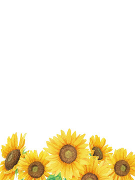 1 069 Best 透明水彩images Stock Photos Vectors Adobe Stock