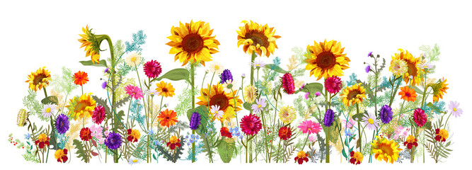Horizontal autumn's border: sunflowers, aster, thistles, gerbera, marigold, daisy flowers, small green twigs on white background. Digital draw, illustration in watercolor style, panoramic view, vector