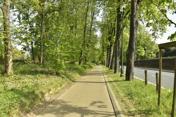 Fototapeta premium Piste cyclable en pleine nature longeant l'autoroute urbaine de l'avenue Van Praet à Laeken