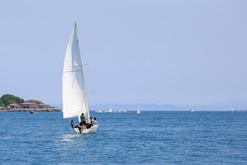Fototapeta premium white sailing boat on the sea. Front view