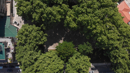DRONE AERIAL VIEW - The Carvalhais Garden in Santo Tirso, Porto, Portugal.