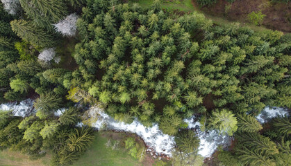 fiume cascata bosco natura verde benessere relax 