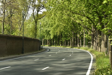L'avenue Van Praet longeant le mur d'enceinte du Domaine Royal à Laeken