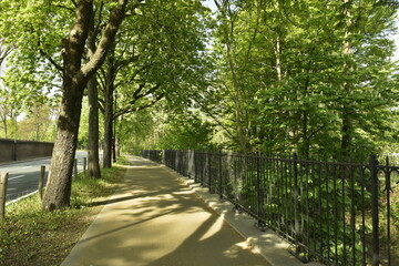 Piste cyclable en pleine nature longeant l'autoroute urbaine de l'avenue Van Praet à Laeken