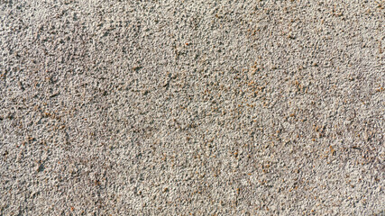 Light rough plaster texture background image