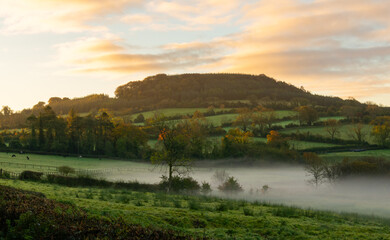 Foggy sunrise over the farmland in the midlands of Ireland.