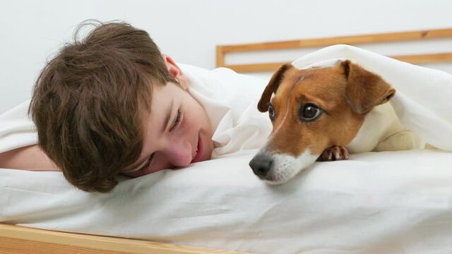 Happy boy hugs dog Jack Russell Terrier smiling in love is lying in bed on white blanket morning. Child dog plays emotionally. Childhood. Pets. Care attention love for pets. Front view. Family concept