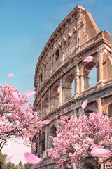 Tuinposter The Colosseum in spring, the most famous monument in Rome. © Stockbym