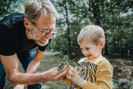 Smiling father showing acorn and oak leafs to son in forest