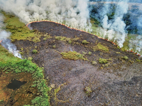 Gabon, Aerial view of controlled forest fire