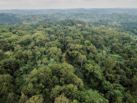 Gabon, Aerial view of lush green jungle of&not;&dagger;Lope National Park