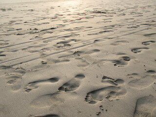 Footprints in the sand, beach tracks, Manuel Antonio, Costa Rica