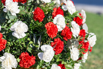 Close-up of funeral wreath with red and whitr carnations at a cemetery