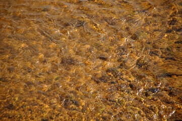 Wasserstimmung - Alles im fluss