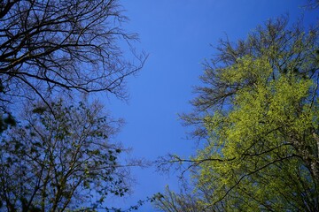 Frühlingshimmel - Sommerstimmung