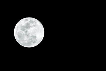 full moon in the night