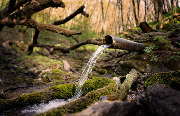 water flowing from a tree