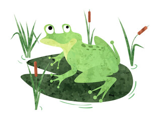 Cartoon Frog sitting on lily pad. Vector watercolor illustration.