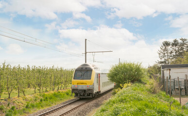 Naklejka premium Train in the countryside. Walking towards. Back side. Train in Belgium