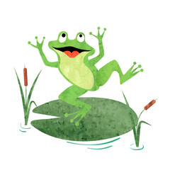 Cartoon Frog on lily pad. Vector watercolor illustration.