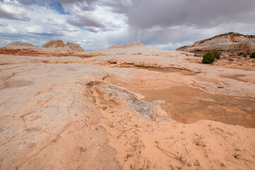 White Pocked, Arizona