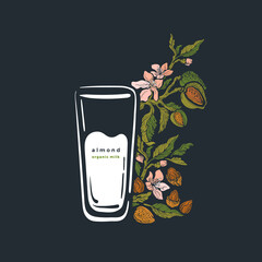 Almond plant and glass of milk Vector branch, nut