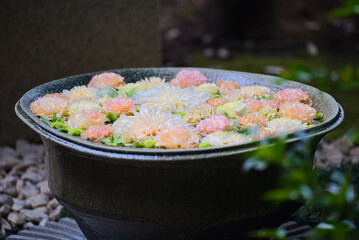 日本の景色と花々／Japanese landscape and flowers.