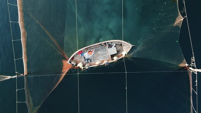 Aerial View Shot of Fishermen pull nets with fish on a fishing boat in sea at sunset drone up. Fishermen sort the fish catch summer. Fishing industry. Black sea