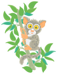Funny small Philippine tarsier, tree-dwelling exotic primate with very large eyes and a long tufted tail, sitting on a green tree branch in a tropical jungle, vector cartoon illustration